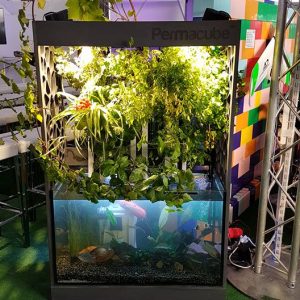 Permacube galets 250 Litres édition Zipgrow