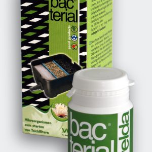 Kit bactéries nitrifiantes démarrage cycle