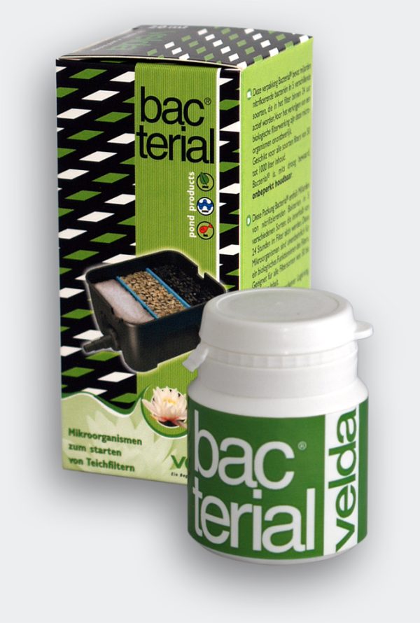 Kit bactéries nitrifiantes démarrage cycle