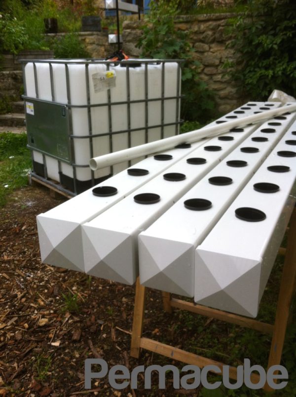 Kit NFT 4 gouttières blanches – 44 plants